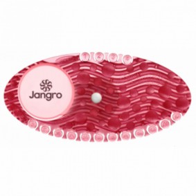 Jangro Curve Air Freshener Spiced Apple