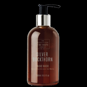 Silver Buckthorn Hand Wash